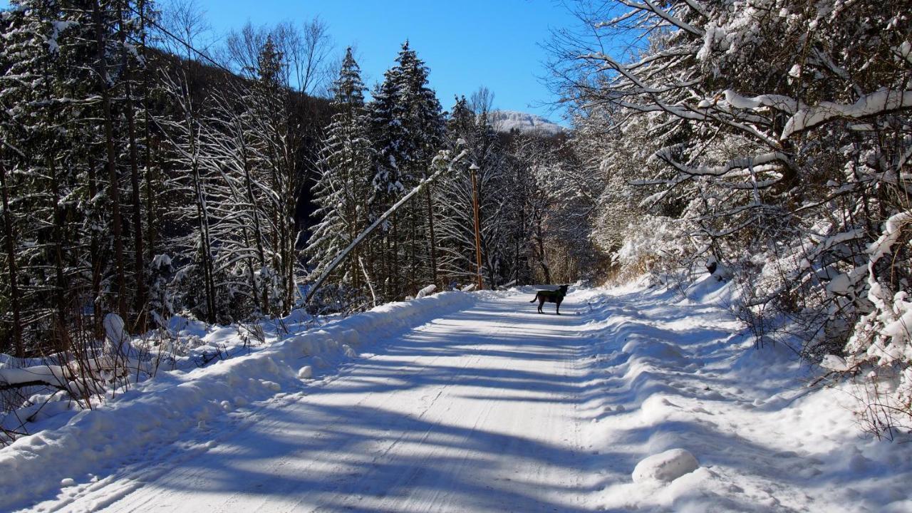 Fewo Talula - Sauerland Mit Hund Медебах Экстерьер фото