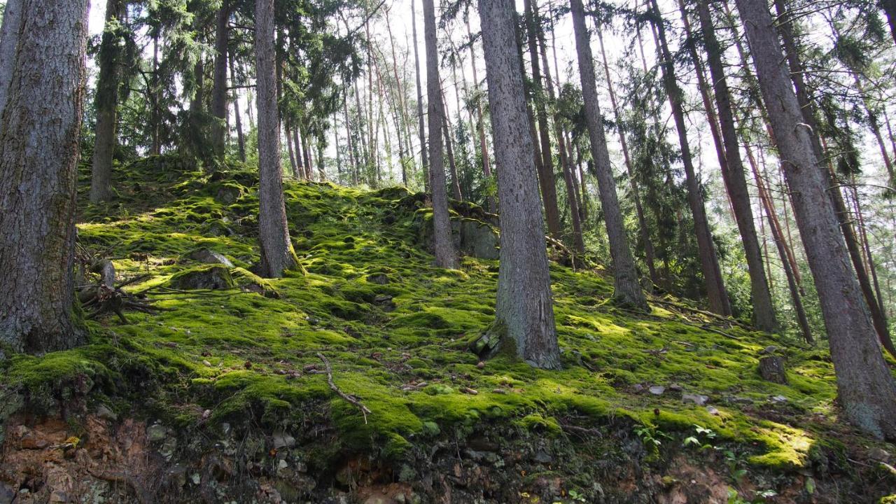 Fewo Talula - Sauerland Mit Hund Медебах Экстерьер фото