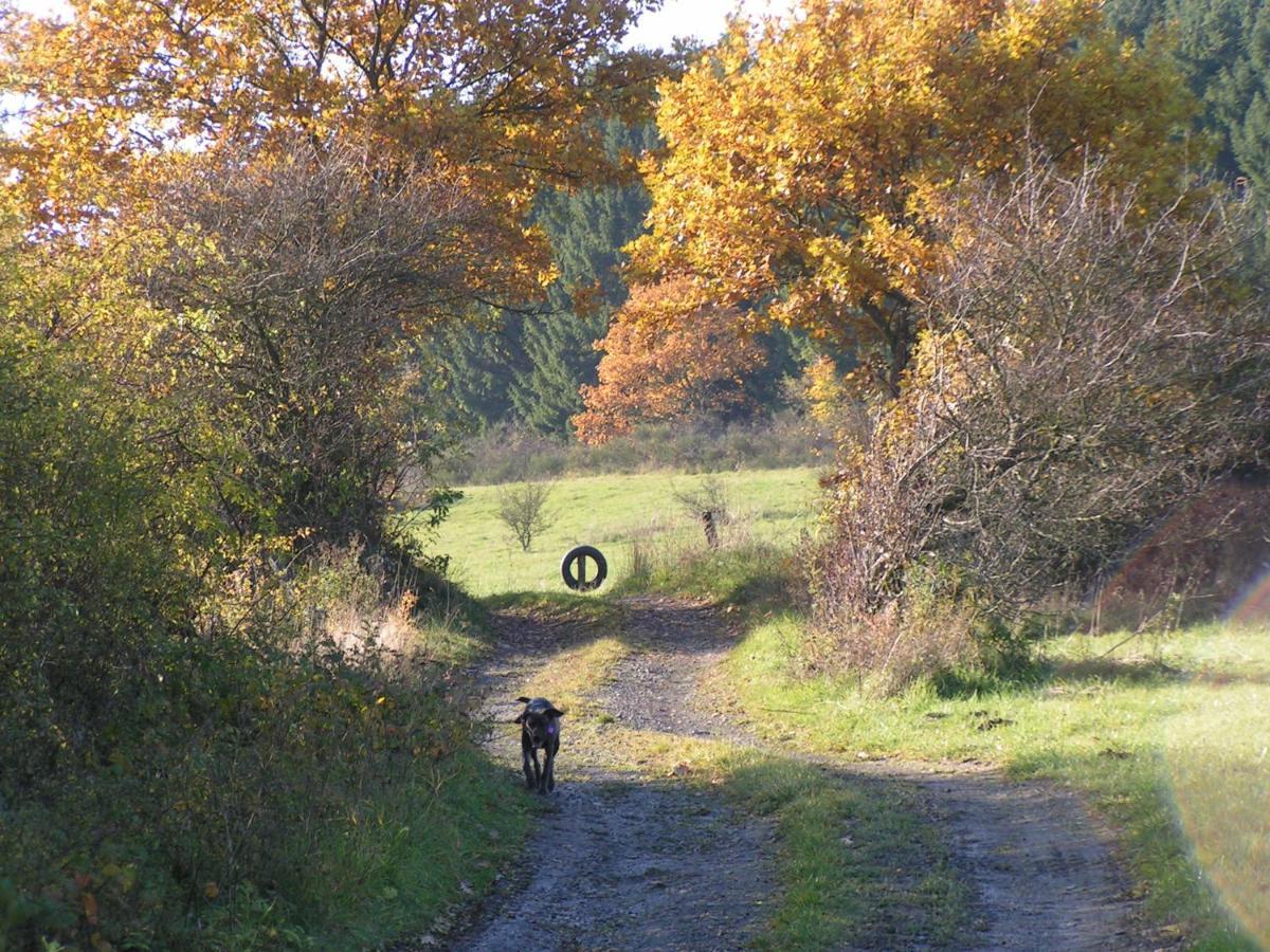 Fewo Talula - Sauerland Mit Hund Медебах Экстерьер фото